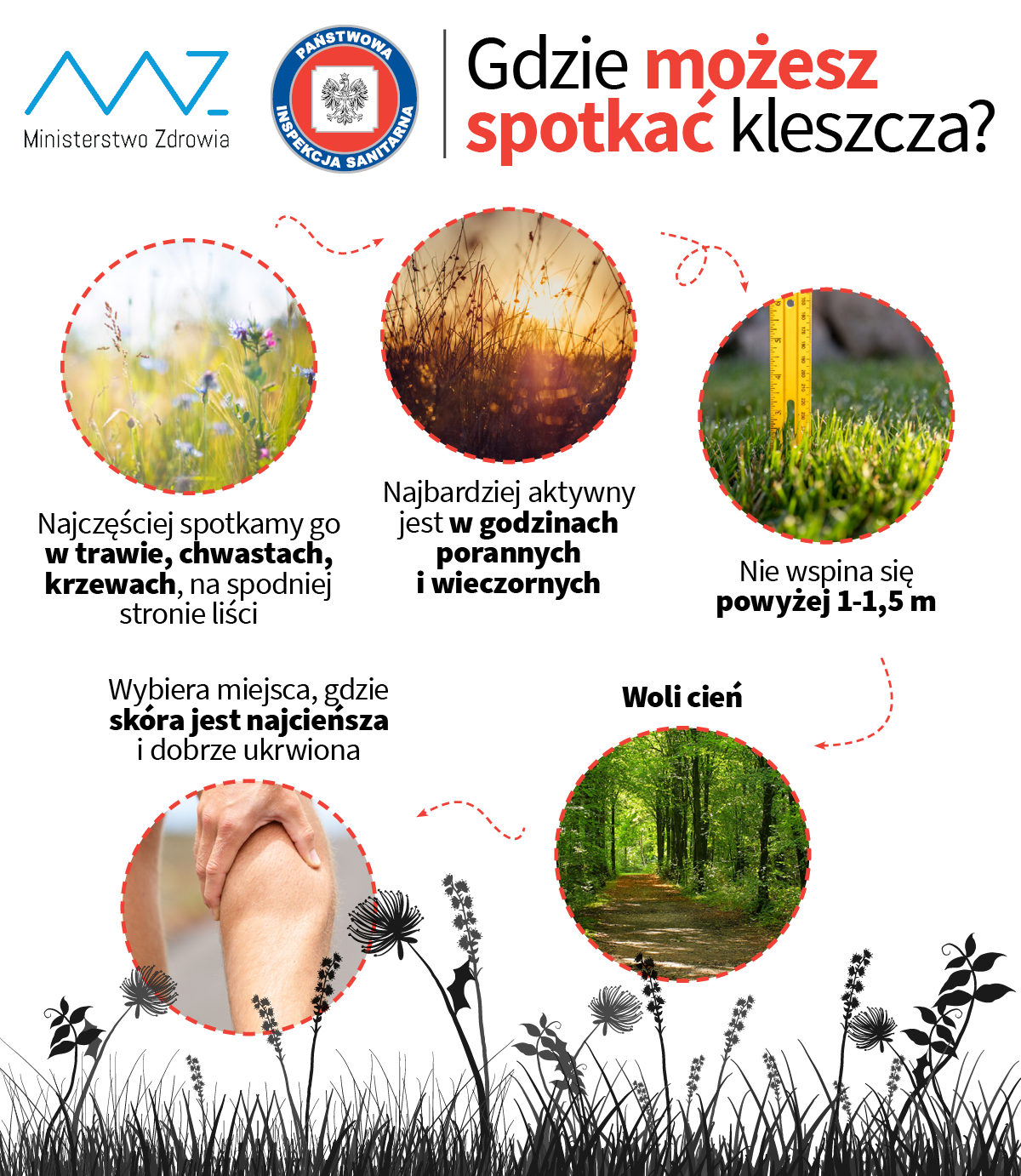 GdzieKleszcza