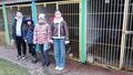 IMG 20241217 092657
